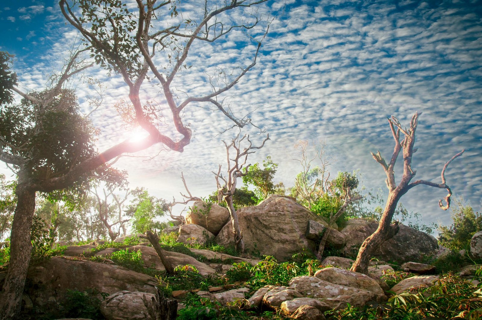 Dramatic view of a rocky forest landscape at sunrise with vibrant sky and clouds.