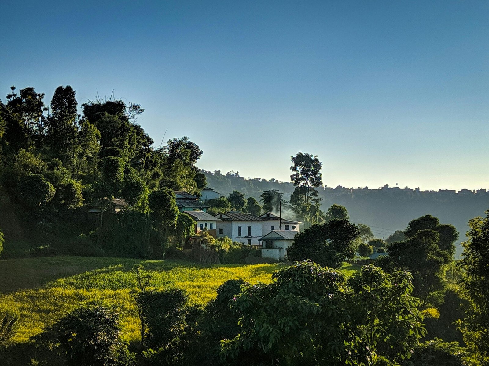 Tranquil countryside scene with lush greenery and village houses under a clear blue sky at sunrise.